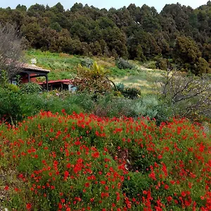 Casa El Retiro En Mazo