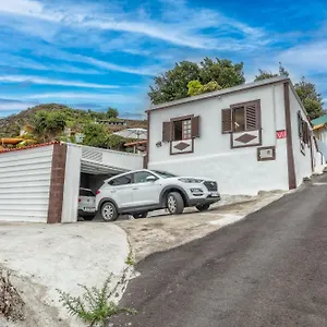 Casita Arboles Mazo